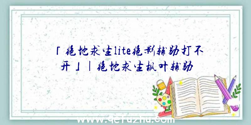 「绝地求生lite绝影辅助打不开」|绝地求生枫叶辅助